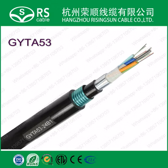 Cabo de fibra óptica Gyxtc8s/GYTY53/GYTA53/GYTS/ADSS Cabo de fibra óptica